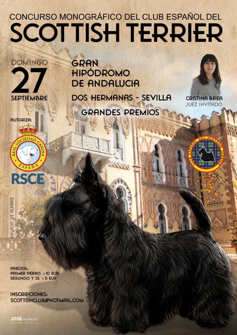 Monográfico del club español del scottish terrier en Sevilla