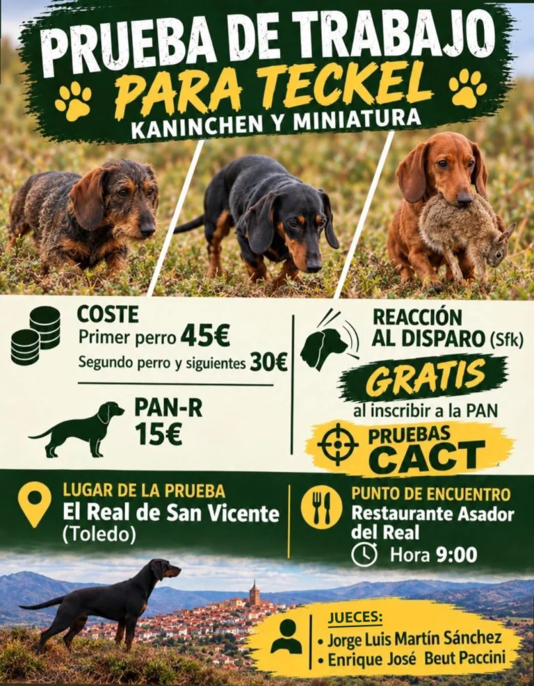 Prueba de trabajo para Teckel