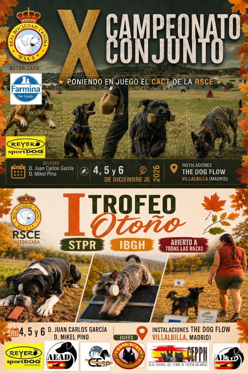 X Campeonato Conjunto FCI-IGP e I Trofeo de Otoño en Madrid 2026