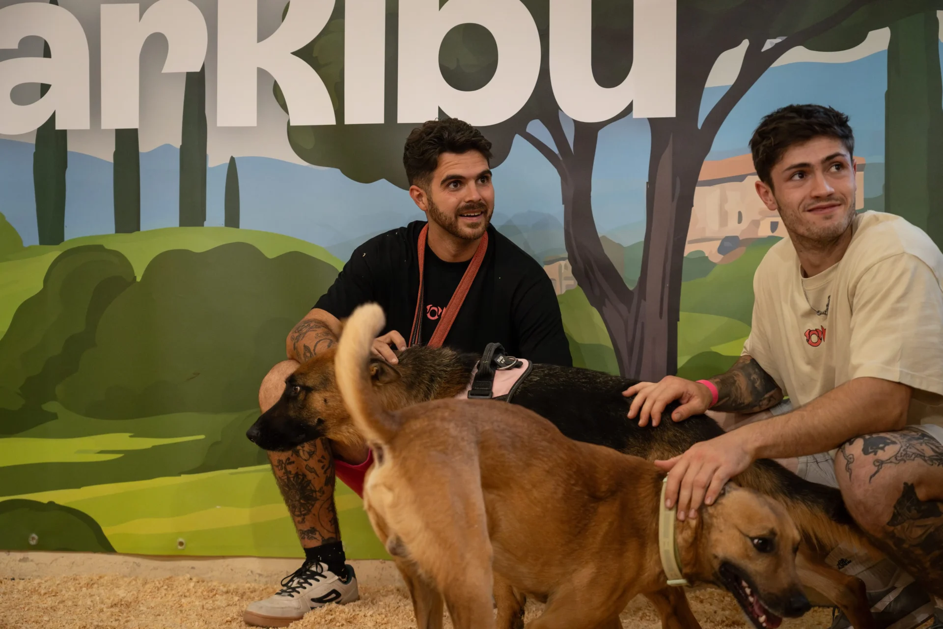 II Feria Nacional de Adopciones ‘Adopta un Pana’ 2026 en Albacete