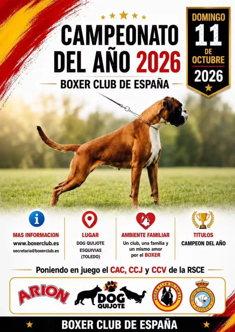 Bóxer Club de España organiza Campeonato del Año 2026