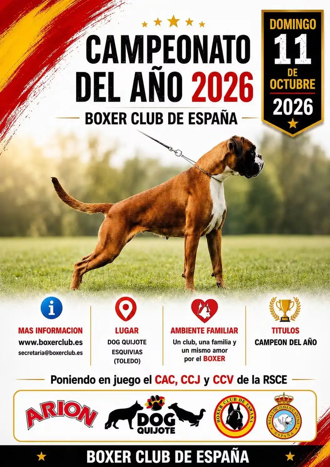 Bóxer Club de España organiza Campeonato del Año 2026