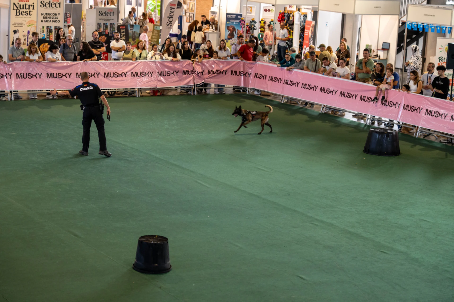 Éxito rotundo en la primera edición de Mascoting Madrid 2026