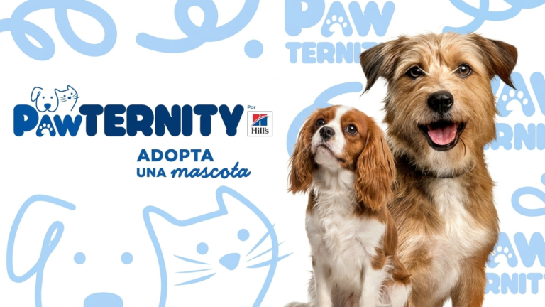 Pawternity adopta una mascota