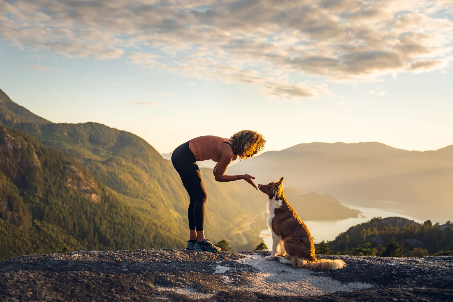 Las 4 mejores rutas de España para viajar y hacer senderismo con perros