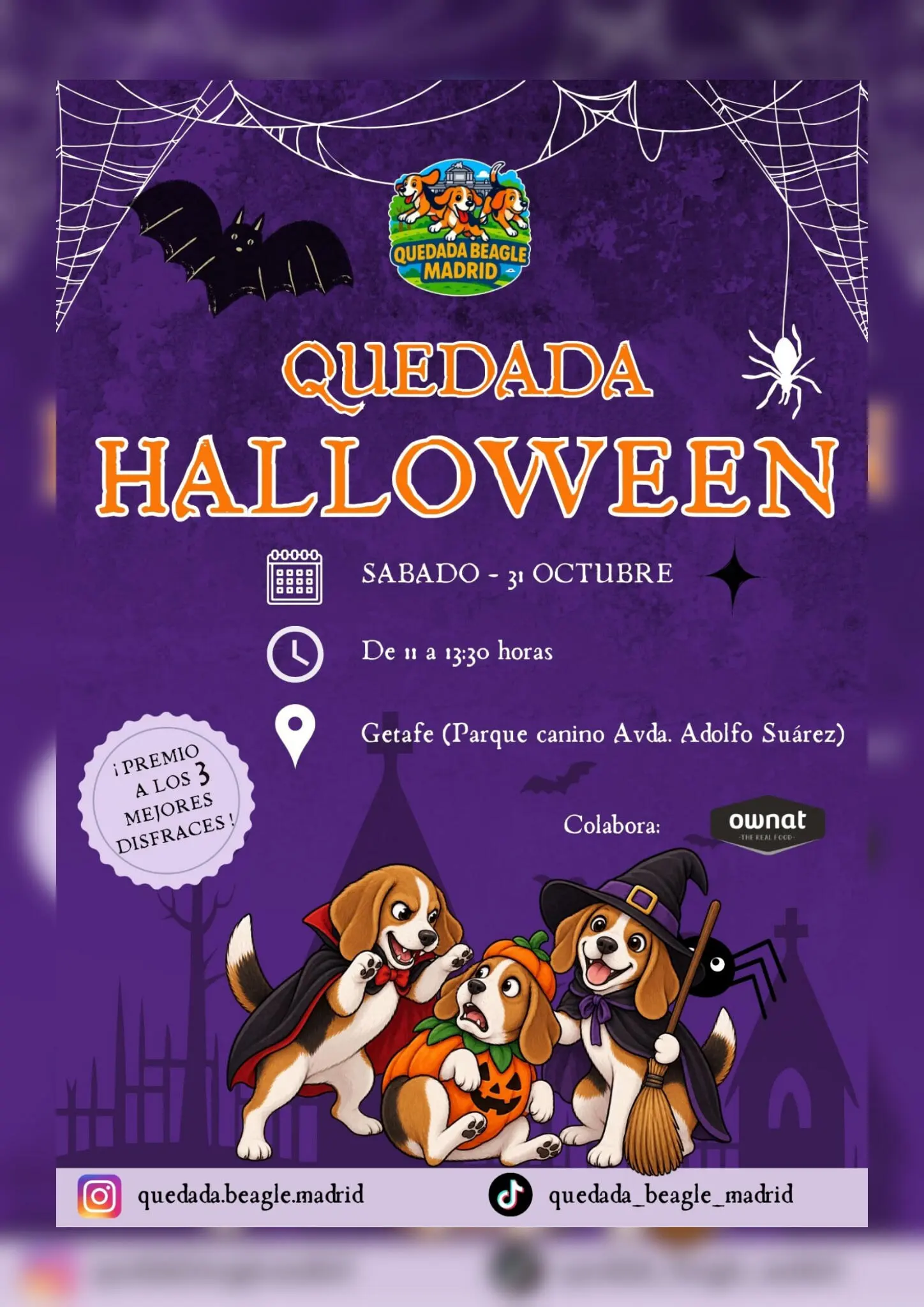 Quedada Beagle Madrid celebra Halloween