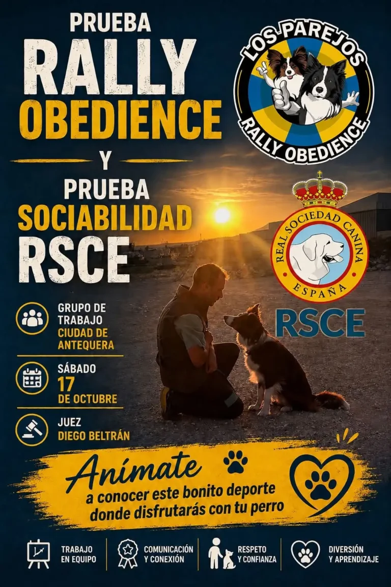 Rally Obedience y Prueba Sociabilidad