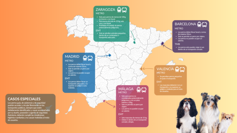 normas más claras para viajar con perros en el transporte público en España